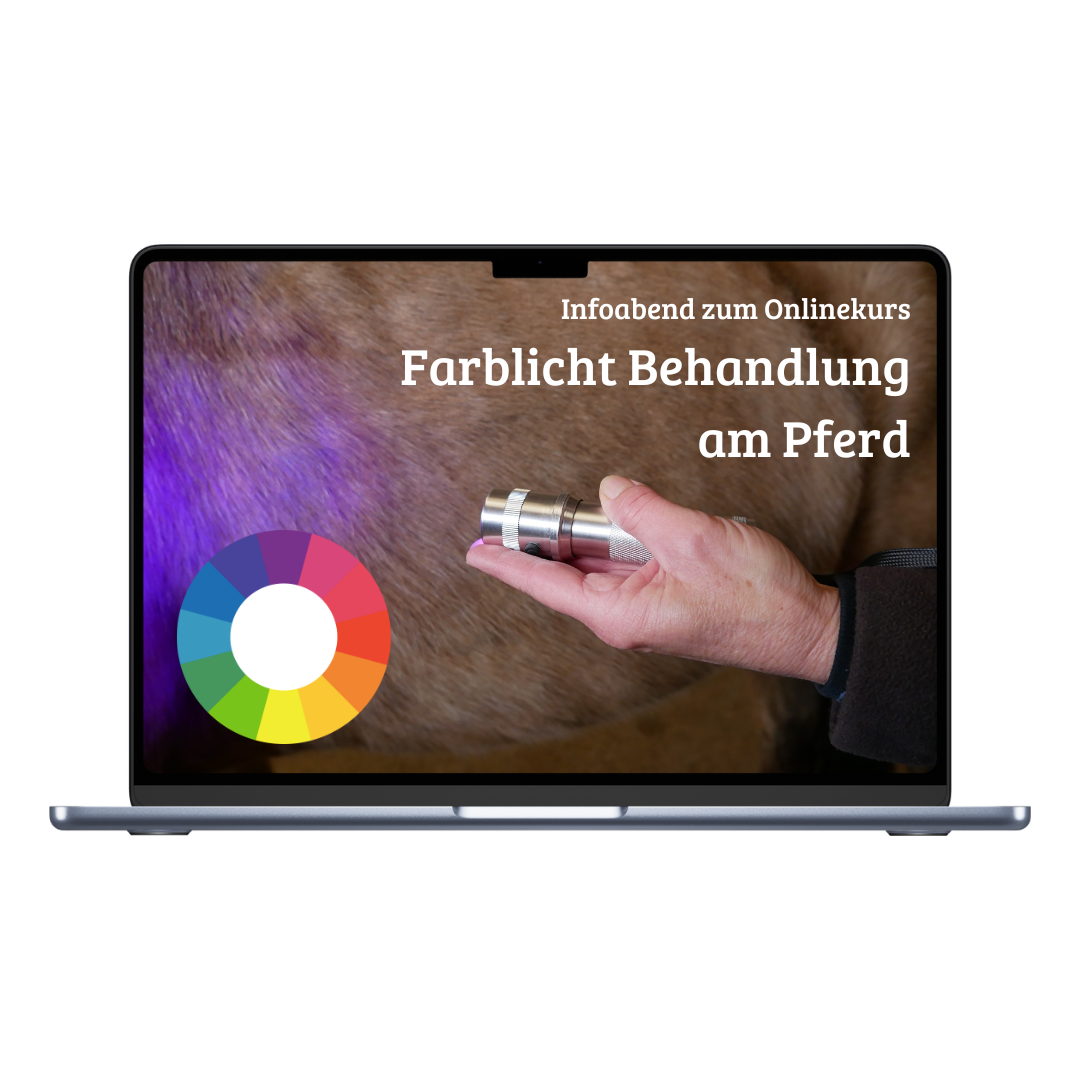 Heike Rundel Infoabend Onlinekurs Farblicht Behandlung am Pferd